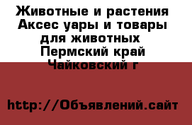 Животные и растения Аксесcуары и товары для животных. Пермский край,Чайковский г.